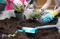 Make your gardening New Year's resolution a sustainable one