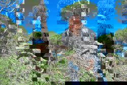 Destroyed by insects: Lebanon’s historic pines are dying, one cone at a time