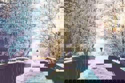 Surviving the cold, dark months: How Nordic people beat the winter blues