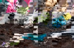 Make your gardening New Year's resolution a sustainable one