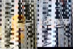 Thai authorities rescue two lions, three bears found caged at Cambodian casino near border