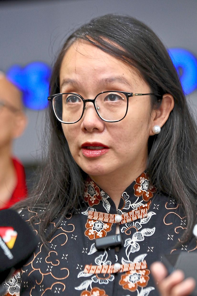 Ng says green spaces like Subang Ria Park and Millennium Park should be protected. 