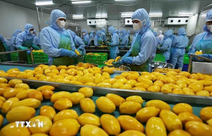 Vietnam's fruit and vegetable exports set new record in 2025 with an income of over US$8.5bil
