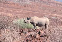 2026 holiday ideas from this international travel guide