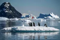 China drafts Antarctica activities and environment law to protect national interests