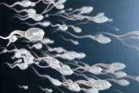 Male fertility issues account for nearly half of infertility cases, says specialist