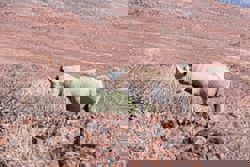 2026 holiday ideas from this international travel guide