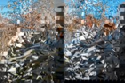 A dying culture: Indigenous elder in Alaska passes down hunting traditions