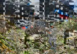 Thai army rejects Cambodia’s ‘false rhetoric’, denies war or environmental crimes