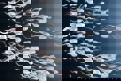 Male fertility issues account for nearly half of infertility cases, says specialist