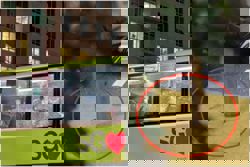 More than seven months’ jail for man who hurled glass bottle at bus window, injuring passenger in Singapore