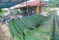 Raising the roof on tradition