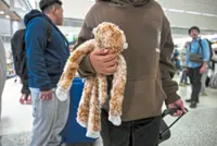 Lonely journey to a new home