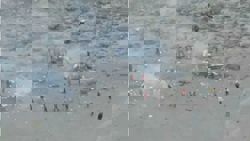 Five killed as rescue helicopter crashes on Tanzania's Mount  Kilimanjaro