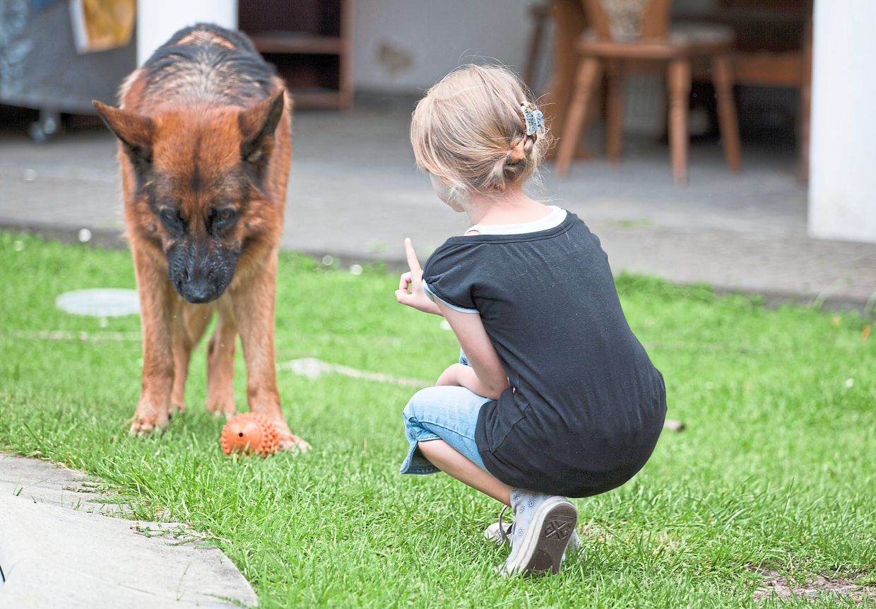 From around the age of eight, children can independently implement rules for interacting with a dog. Photo: dpa/Silvia Marks