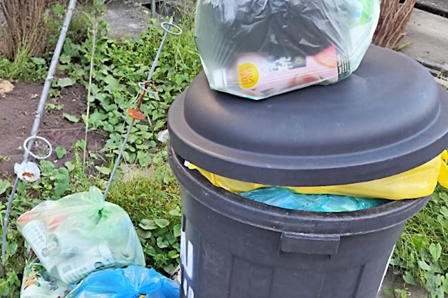 It's getting real stinky here - Brunei Residents frustrated by waste collection delays