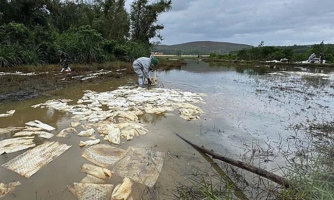 Mass fish deaths after diesel spill at Vietnam's oil depot, fields and rivers contaminated