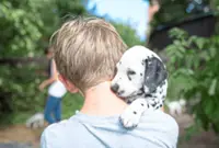 Adolescents with a dog at home are found to be emotionally healthier