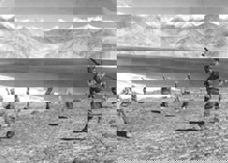 Did the US play a ‘critical role’ in triggering China-India war 6 decades ago?