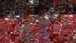 A gaming tour de force that is very, very French