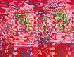 Weekend for the arts: 'Moneyfesto' exhibition, 'Siasah' watercolour show