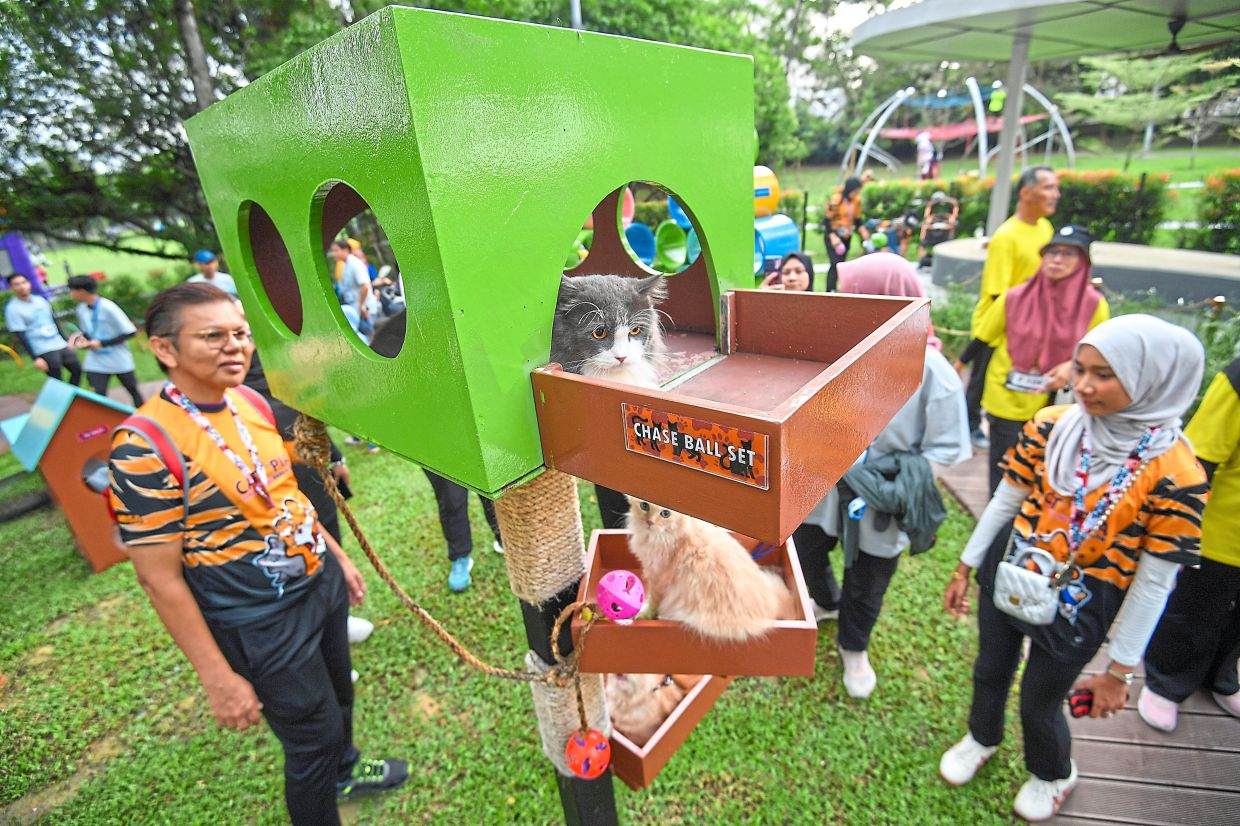 Catopia was opened in Dataran Kemerdekaan in Section 14.