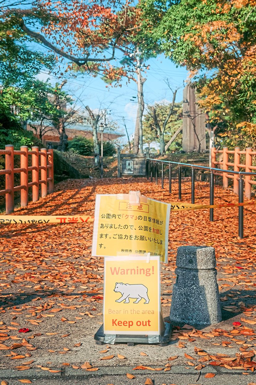 A warning sign of bear sightings at the entrance of the closed Senshu Park in Akita City, Akita prefecture. — Kentaro Takahashi/The New York Times