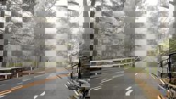 Baguio chills at 14.6°C, the lowest Saturday temperature in Philippines