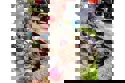 Dead man found trapped in culvert in Tapah