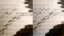 6.6-magnitude earthquake hits off Taiwan, reports USGS