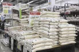 Japan's rice policy at crossroads amid output shift