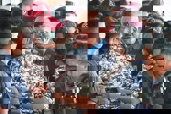 All the world’s a stage