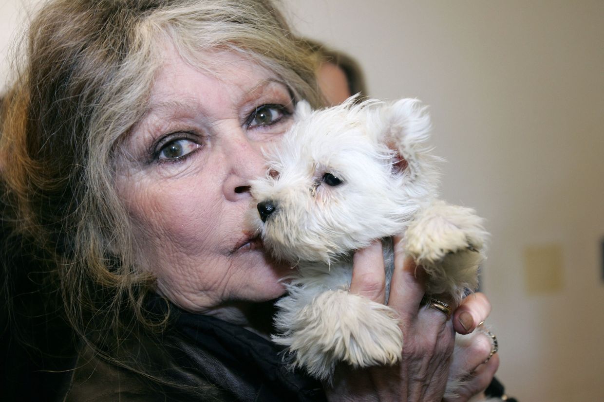 French actress and animal rights activist Brigitte Bardot in a dog pound in Nice (southern France), holding one of 143 puppies seized by customs officiers in a Hungarian van, on December 28, 2005. — Photo: Valery HACHE / AFP
