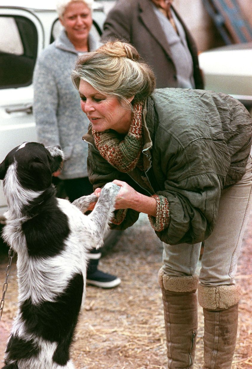 French actress and animal rights activist Brigitte Bardot plays with a dog as she arrives at Cabries kennels (South of France) on January 17, 1989, to promote adoption of abandoned pets. — Photo: GERARD FOUET / AFP