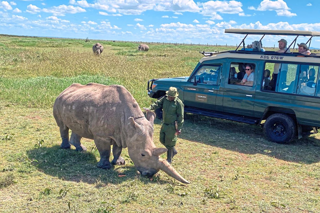 This safari reveals the impact of wildlife conservation in Kenya