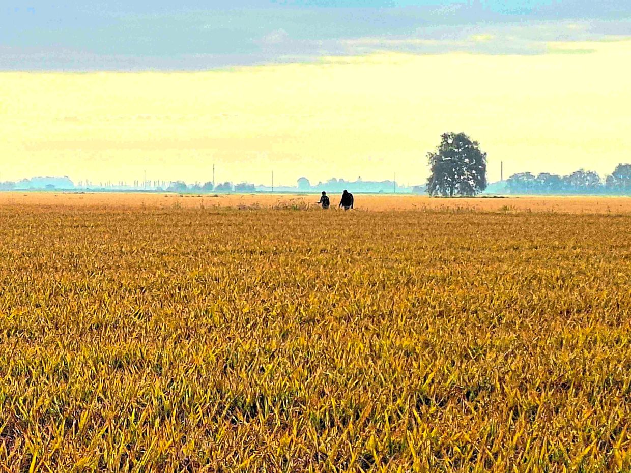 This Malaysian woman walked from Switzerland to Italy