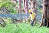 Picking a national favourite