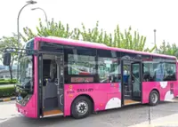 More buses can help reduce traffic congestion