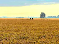 This Malaysian woman walked from Switzerland to Italy