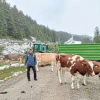 The small town of Seefeld in Austria is full of Alpine charm