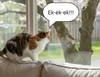 QuickCheck: Do cats mimic the sound of their prey?