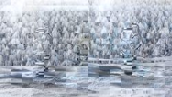 Grand Seiko’s Alive In Time in KL exhibition celebrates Japanese watchmaking artistry