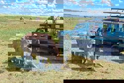 This safari reveals the impact of wildlife conservation in Kenya