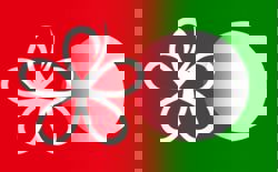 After Perlis MB issue, PAS division youth wing wants party to cut ties with Bersatu