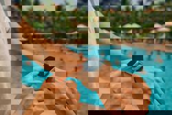 Fitbit vs. Apple Watch: Which one should you get?