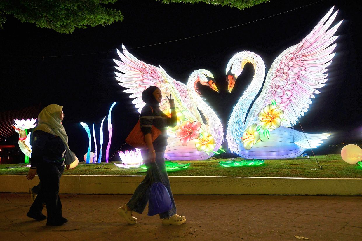4. Visitors admiring swan lanterns at the festival. — Byline