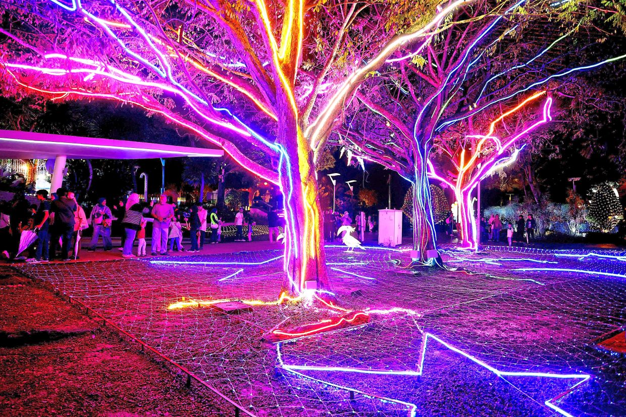 The festival of lights beckons with a range of installations including (from above) electrifying landscapes, animals, dinosaurs and lanterns.