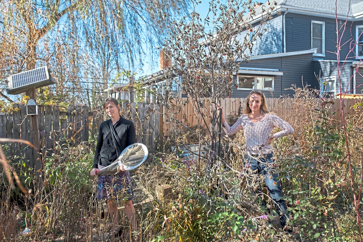 Brown and Heather Griscom, professors at James Madison University, in Griscom’s pollinator garden in Harrisonburg, Virginia. — Kirsten Luce/The New York Times