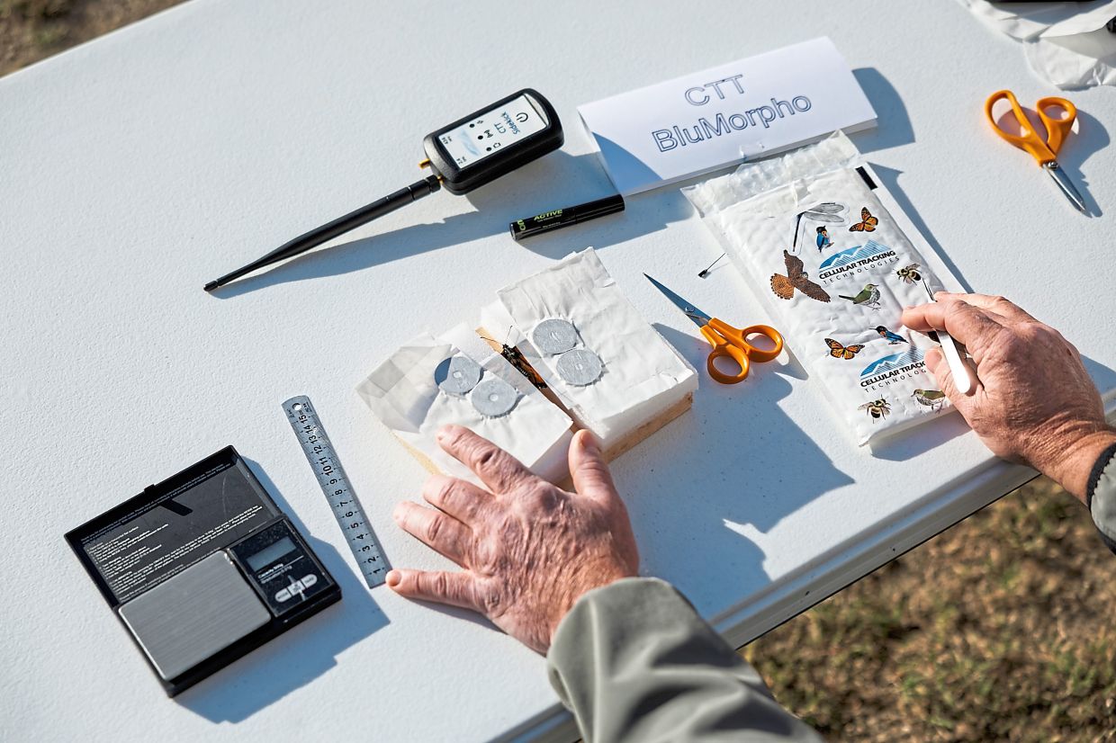 Michael Lanzone, the founder and chief executive of Cellular Tracking Technologies, showing the kit for tagging a monarch butterfly at the Cape May Point Arts and Science Center in Cape May Point, New Jersey.— Hannah Beier/The New York Times