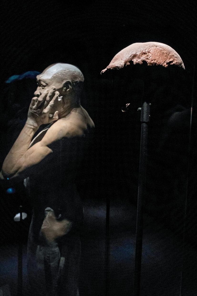 The Netherlands returned a set of prehistoric bones known as 'Java Man' - from a species long considered a 'missing link' between humans and apes - to Indonesia on Dec 17, the first in the planned repatriation of about 40,000 fossils removed by the Dutch scientist Eugène Dubois during colonial rule. Photo: Ilvy Njiokiktjien/The New York Times